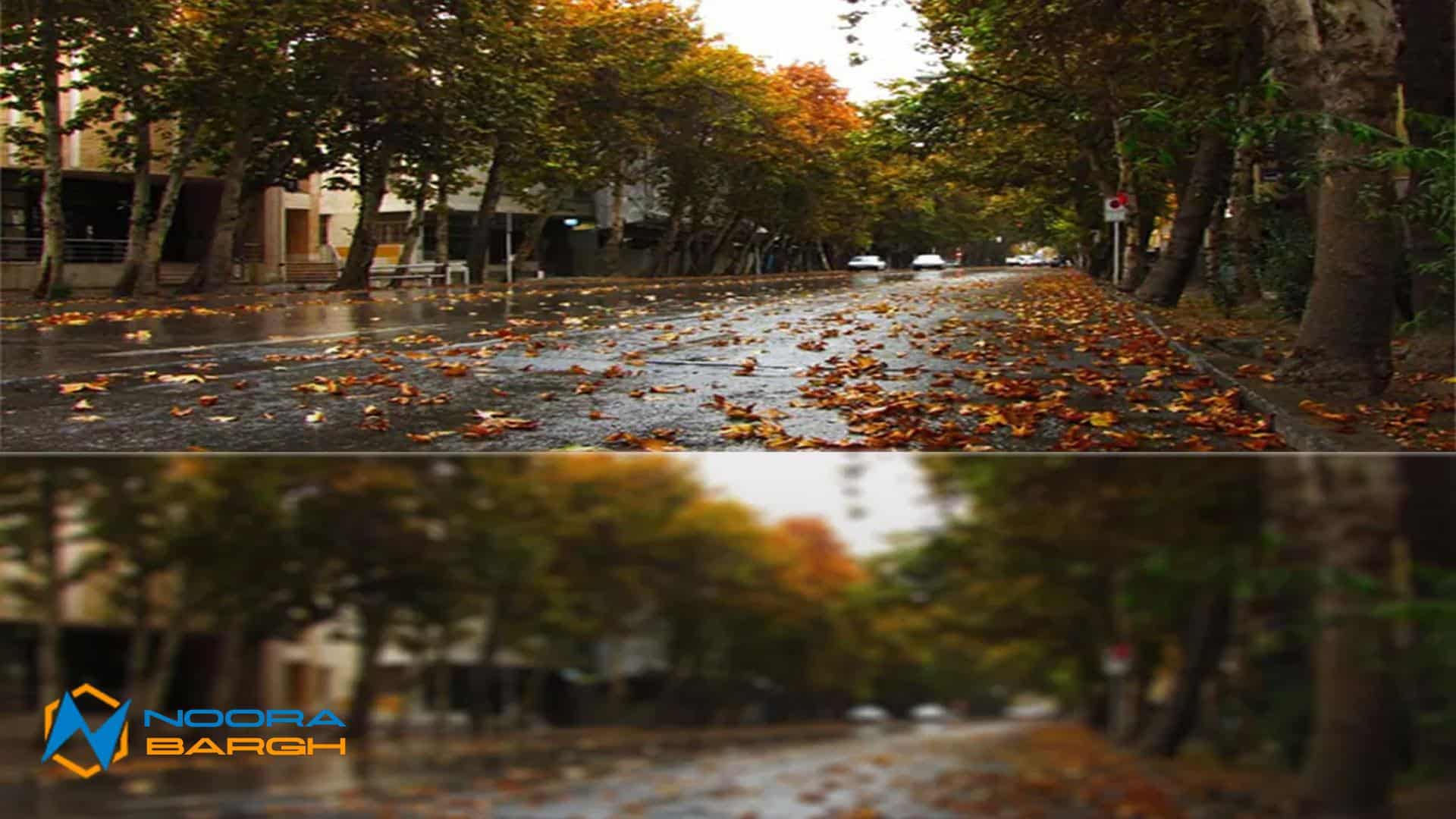 تفاوت تصویر تار با تصویر سالم